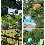 Le Jardin Des Bosquets Tatil Evi Auchay-sur-Vendee