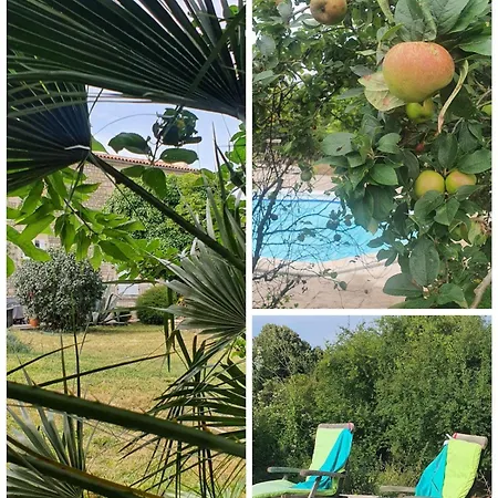 Le Jardin Des Bosquets Tatil Evi Auchay-sur-Vendee