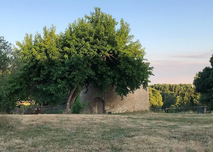 Le Jardin Des Bosquets *