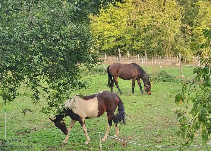 Le Jardin Des Bosquets