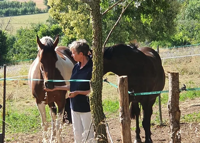 펜션 Le Jardin Des Bosquets *